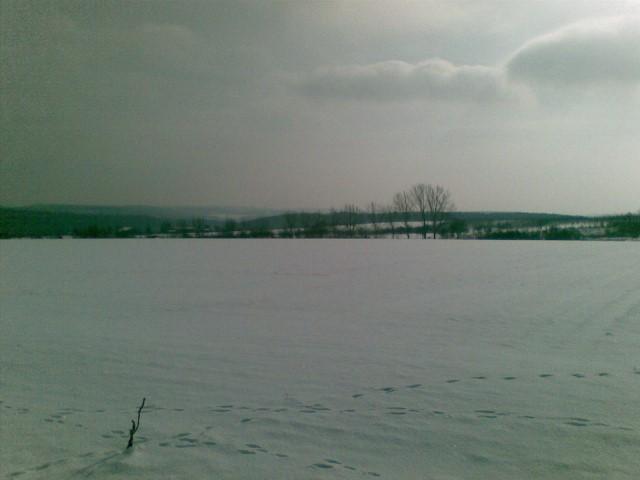 Halsbacher Schneelandschaft.jpg